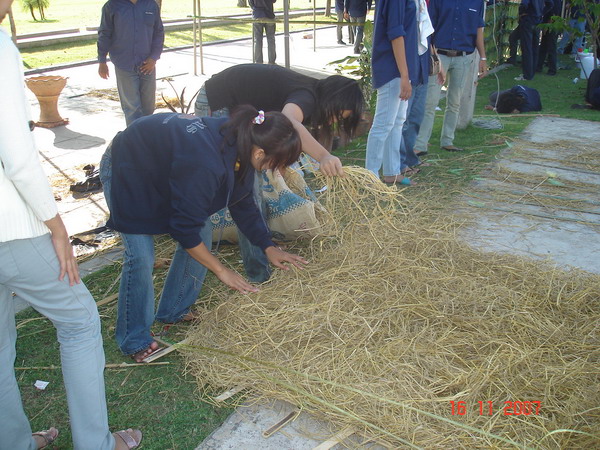 ../Picture/2550/DSC04003.JPG
