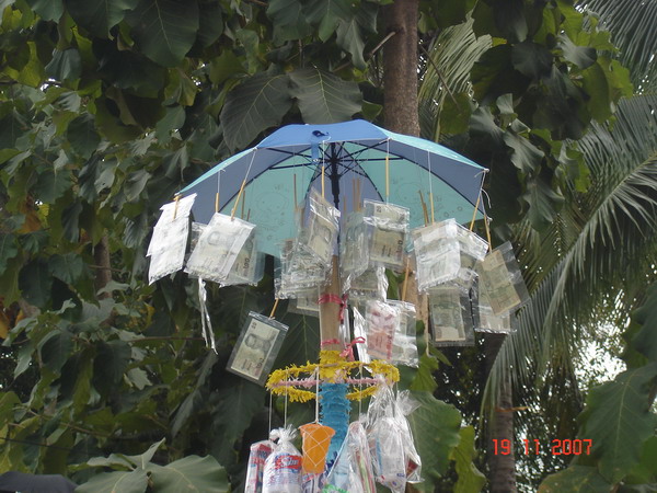 ../Picture/2550/DSC04173.JPG