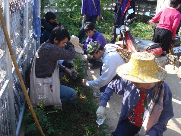 ../Picture/2550/DSC08822.JPG