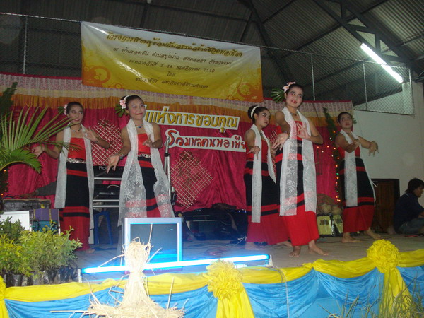 ../Picture/2550/DSC08991.JPG