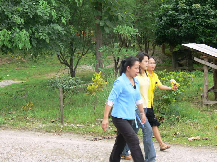 ../Picture/2550/P1140606.JPG