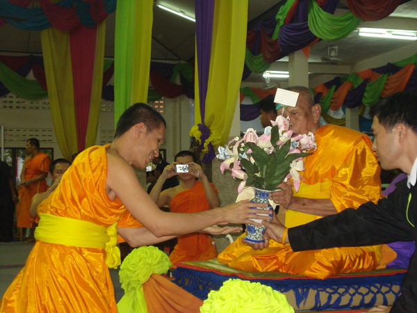 ../Picture/2551/DSC00239.JPG