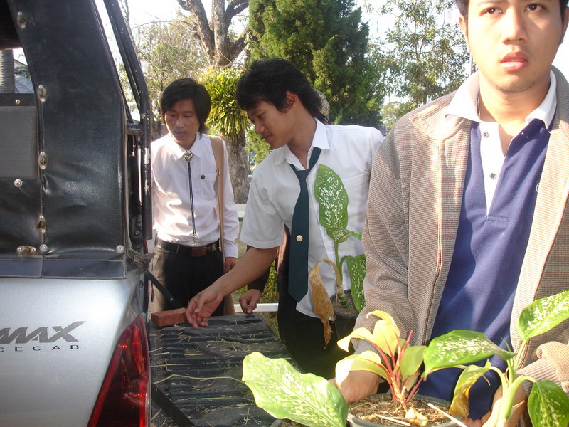 ../Picture/2552/DSC08145.JPG