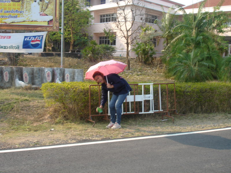 ../Picture/2552/DSC09134.JPG