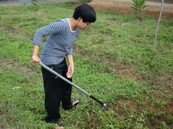 ../Picture/2553/DSC05655.JPG