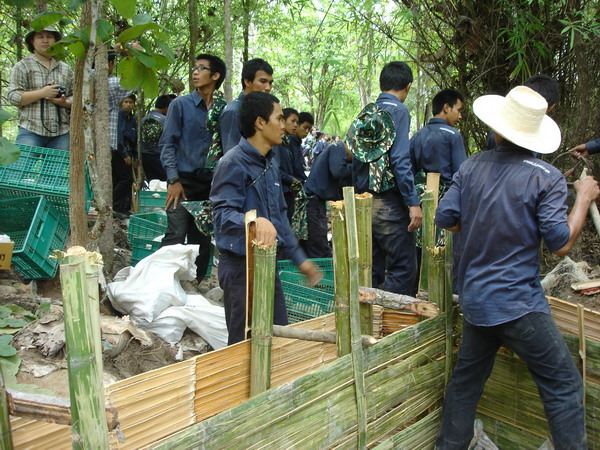 ../Picture/2553/DSC08965.JPG