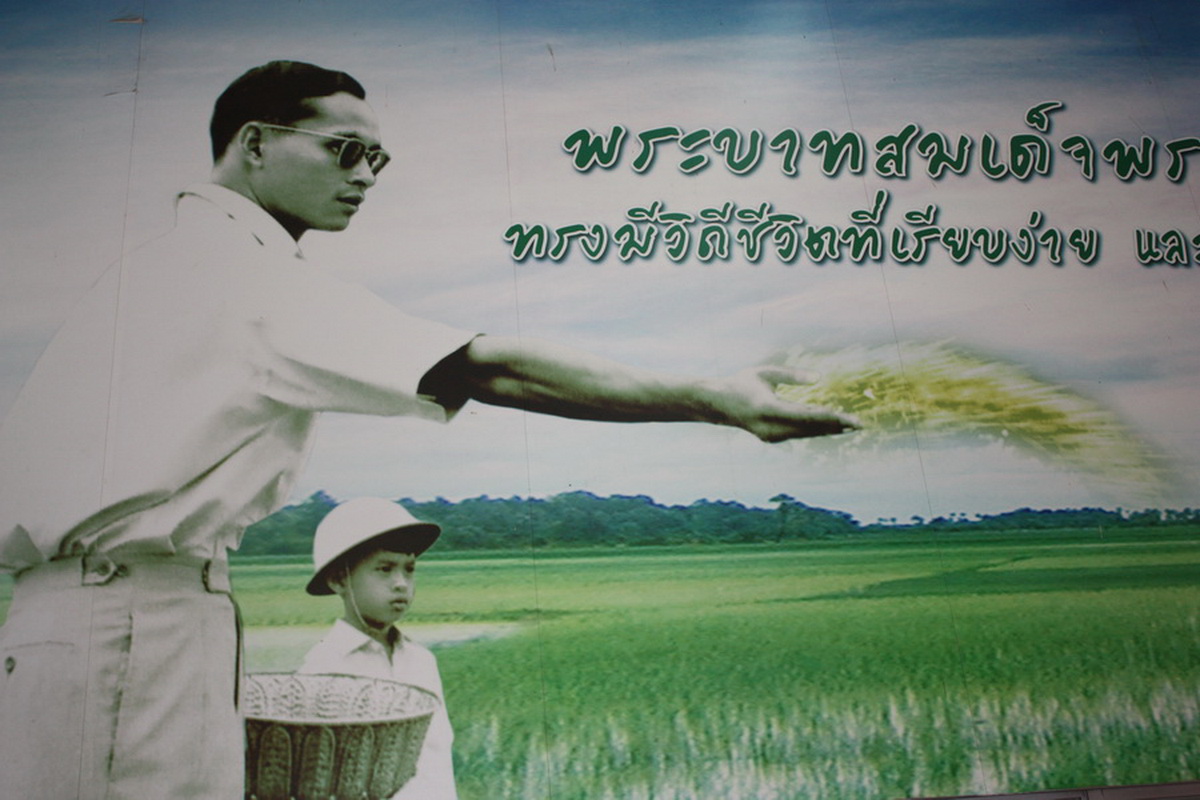 ../Picture/2553/MJUP2010102616540502.jpg
