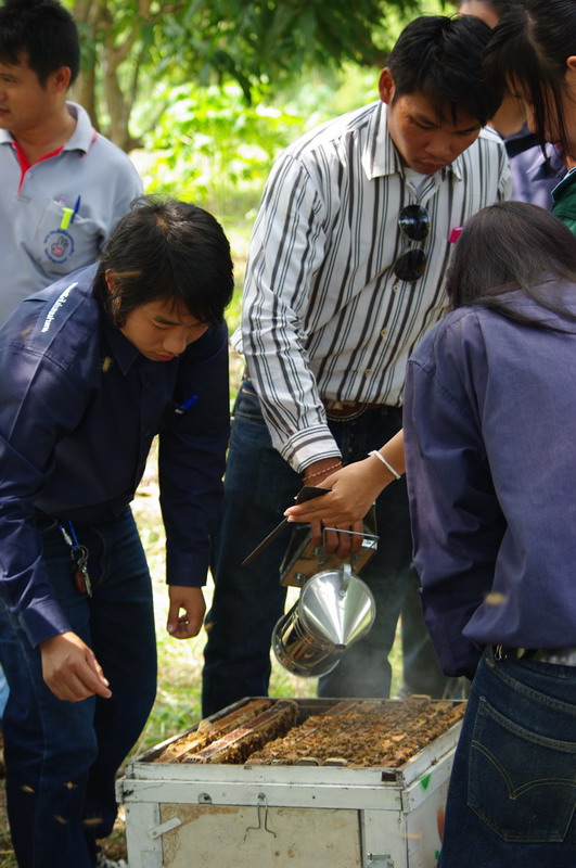 ../Picture/2553/MJUP2010102815173310.JPG
