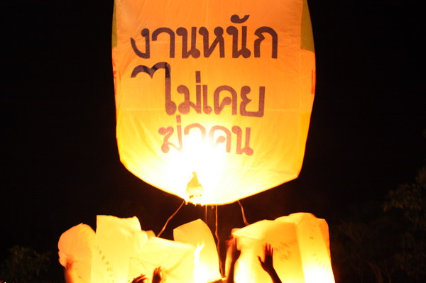 ../Picture/2553/MJUP2010112318230001.JPG