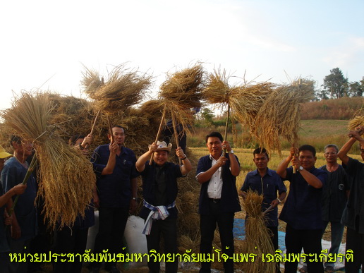 ../Picture/2553/MJUP2010112614284105.JPG