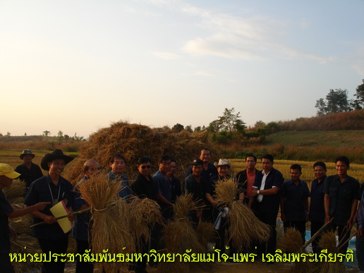 ../Picture/2553/MJUP2010112614404102.JPG