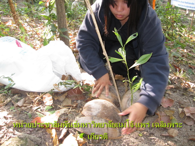 ../Picture/2553/MJUP2010112616181203.JPG