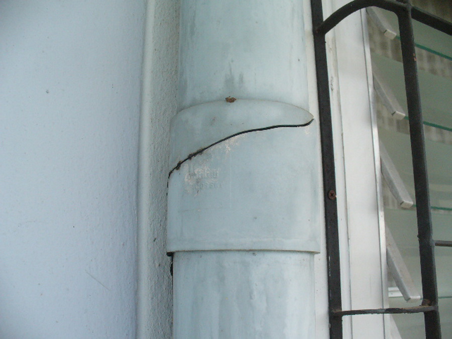 ../Picture/2553/P1110147.JPG