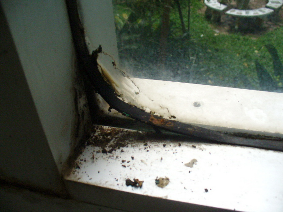 ../Picture/2553/P1110155(2).JPG