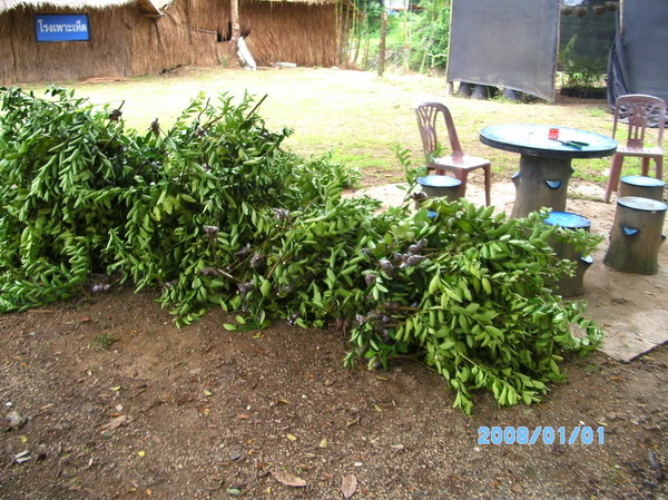 ../Picture/2553/PICT0105.JPG