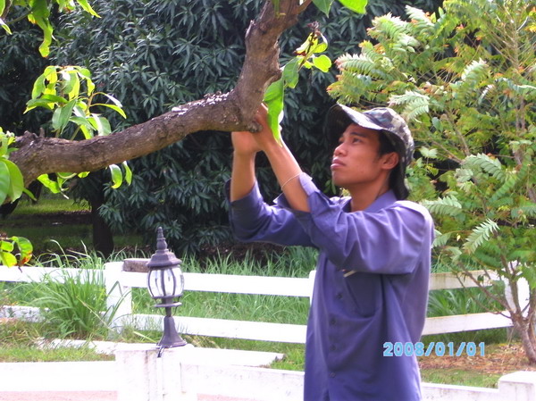 ../Picture/2553/PICT0127.JPG