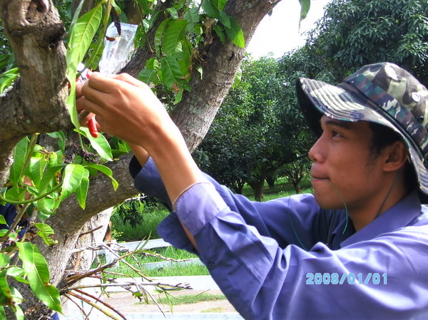 ../Picture/2553/PICT0132.JPG