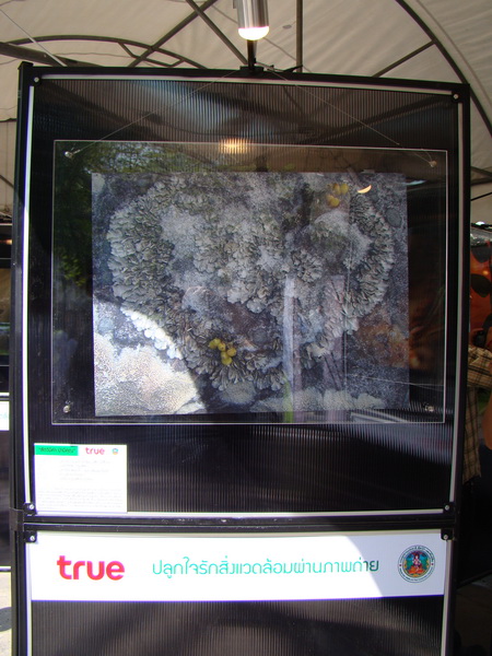 ../Picture/2554/MJUP2011011213055701.JPG