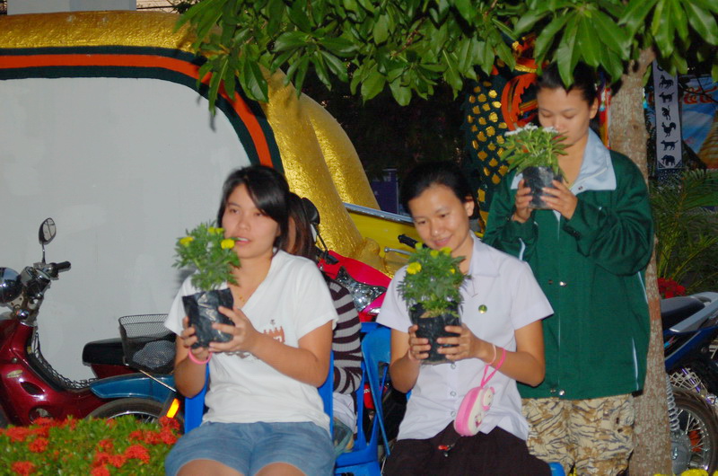 ../Picture/2554/MJUP2011012113541606.JPG