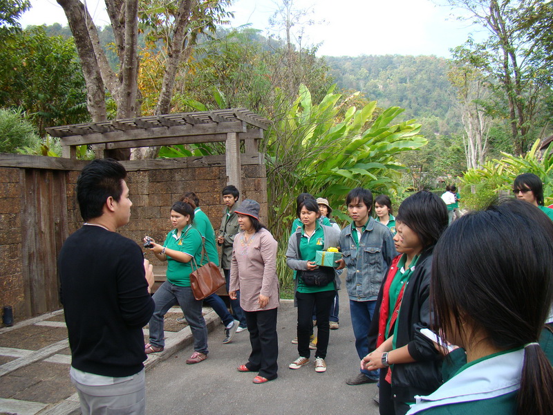 ../Picture/2554/MJUP2011020214485302.JPG