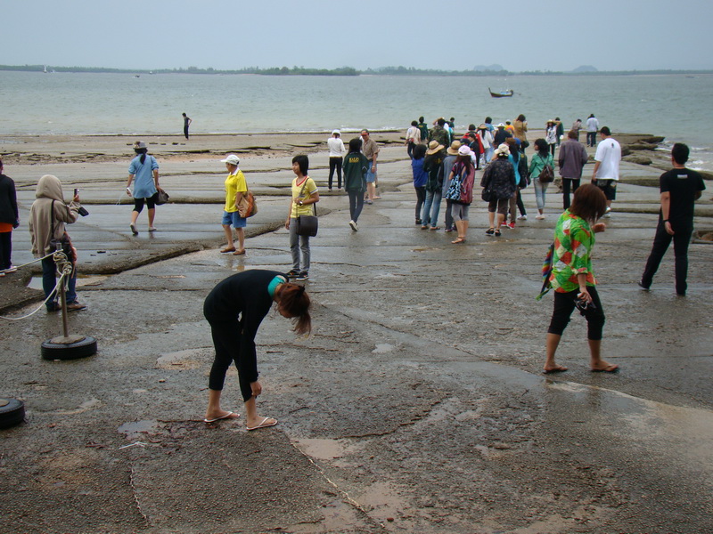 ../Picture/2554/MJUP2011031515101507.JPG