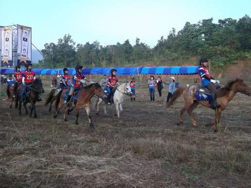../Picture/2554/MJUP2011103115110504.JPG
