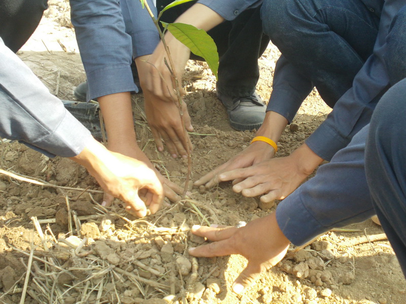 ../Picture/2554/MJUP2011120112591104.JPG
