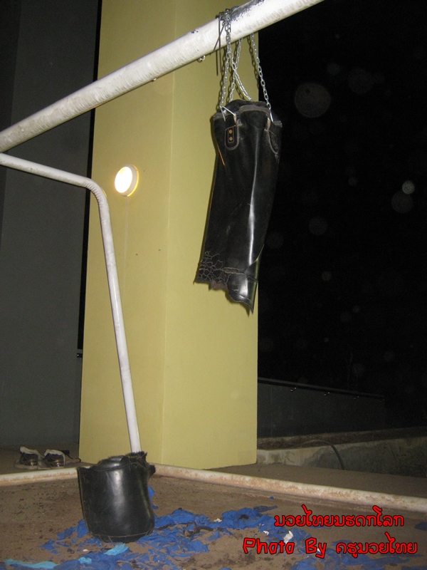 ../Picture/2554/MJUP2011121611161607.JPG