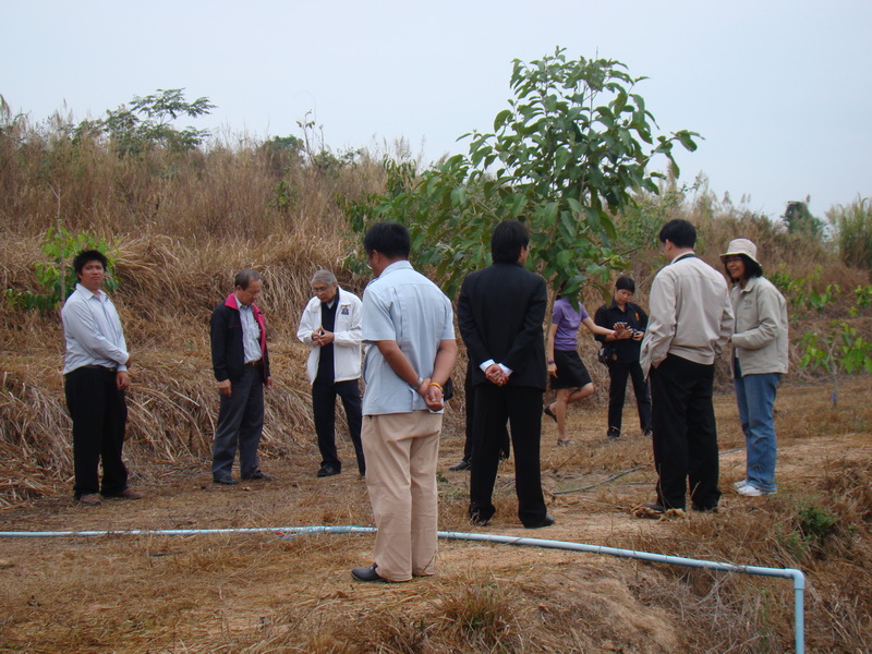 ../Picture/2555/MJUP2012011814250104.JPG