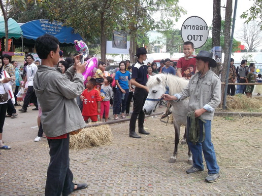 ../Picture/2555/MJUP2012011914534507.JPG