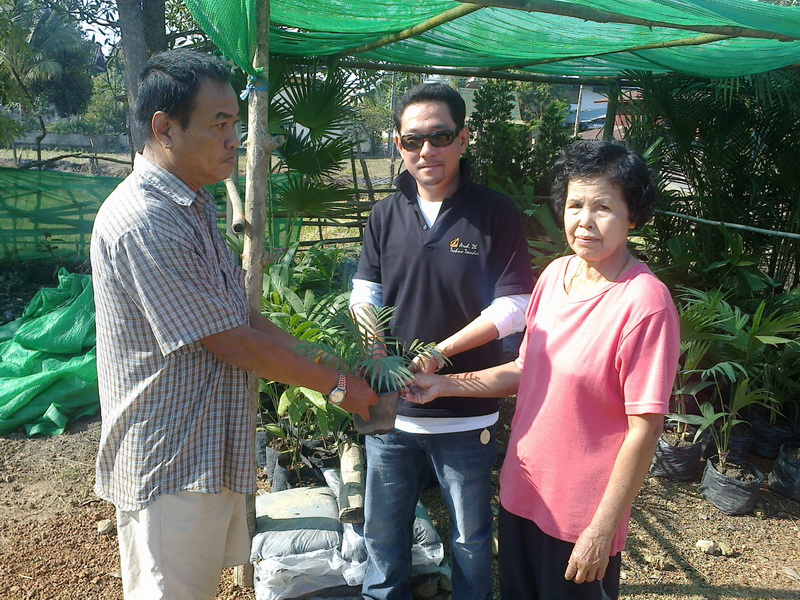 ../Picture/2555/MJUP2012012610110501.jpg