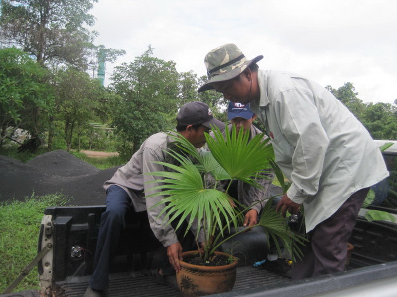 ../Picture/2555/MJUP2012060113503605.jpg