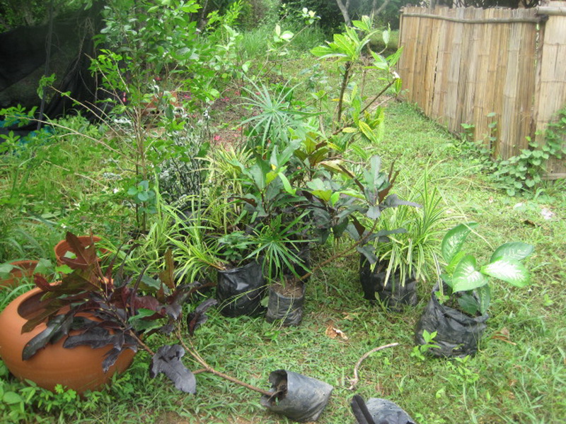 ../Picture/2555/MJUP2012060113503609.jpg