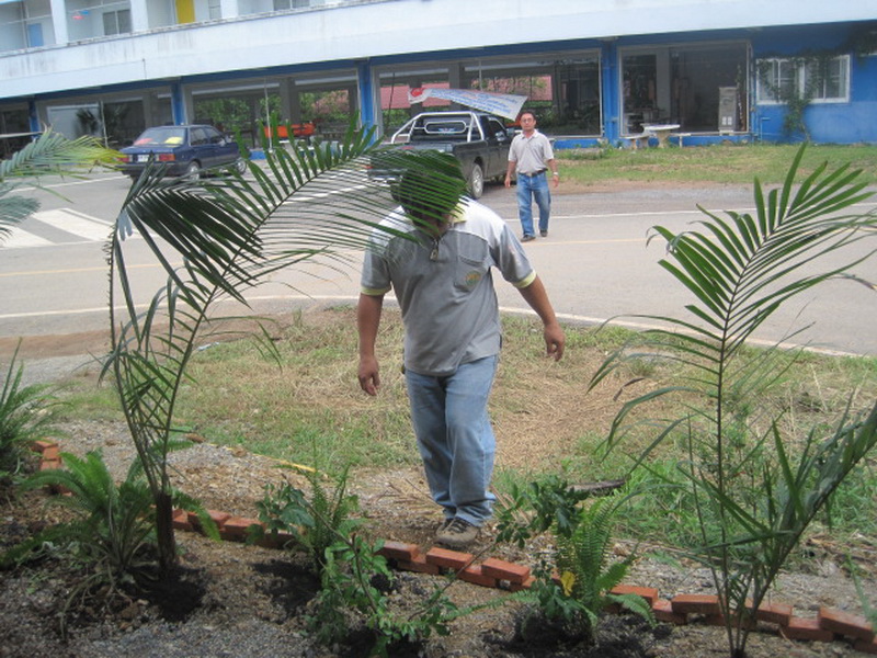 ../Picture/2555/MJUP2012060113531003.jpg