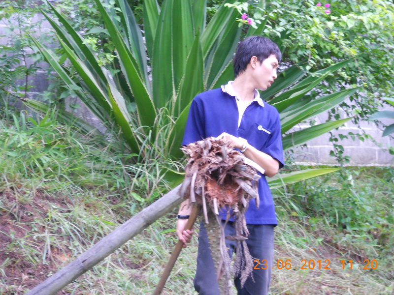 ../Picture/2555/MJUP2012070909275504.JPG
