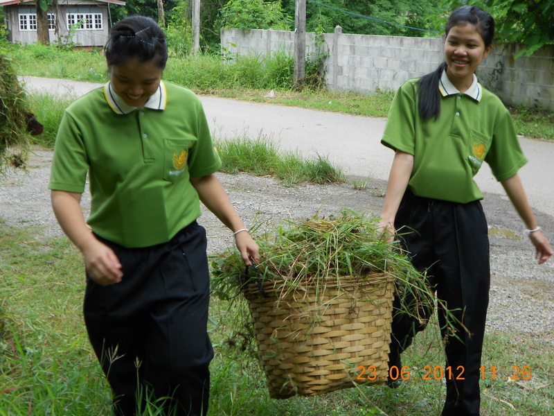 ../Picture/2555/MJUP2012070909275508.JPG