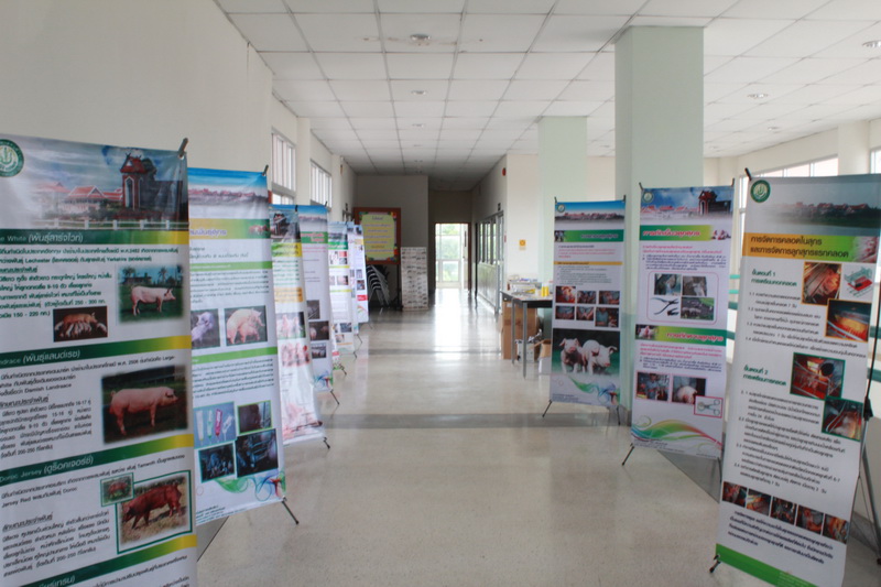 ../Picture/2555/MJUP2012071216070106.JPG