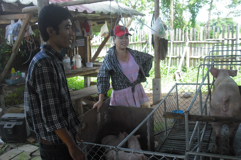 ../Picture/2555/MJUP2012071914250702.JPG
