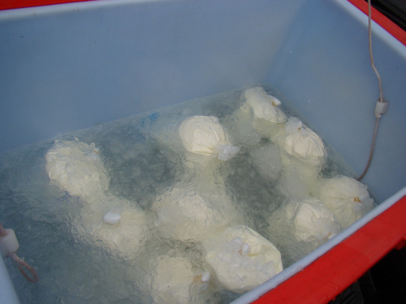 ../Picture/2555/MJUP2012080916104805.JPG