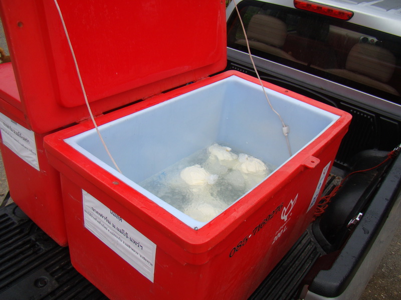 ../Picture/2555/MJUP2012080916104806.JPG