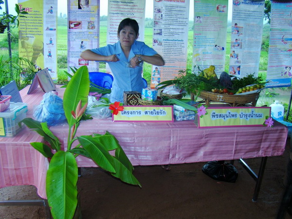 ../Picture/2555/MJUP2012081211320703.jpg