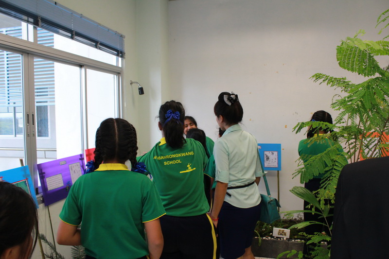 ../Picture/2555/MJUP2012082403220607.JPG
