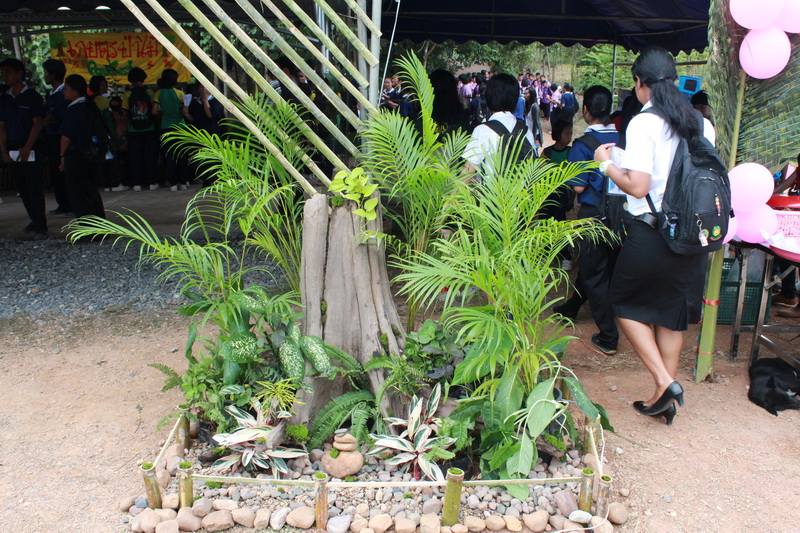 ../Picture/2555/MJUP2012082403235705.JPG
