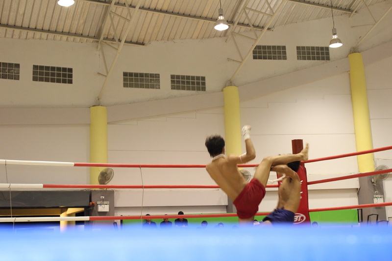 ../Picture/2555/MJUP2012091116410410.JPG
