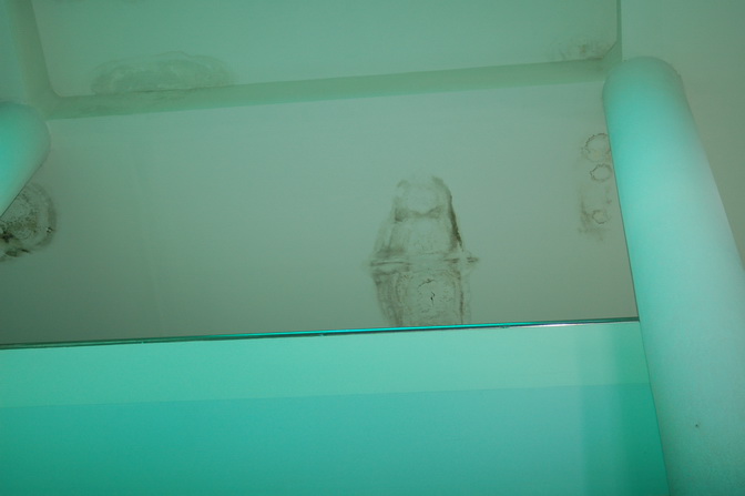 ../Picture/2555/MJUP2012091811275609.JPG