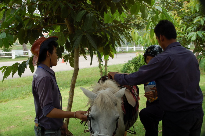 ../Picture/2555/MJUP2012100215395604.JPG