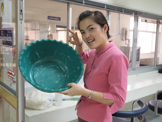 ../Picture/2555/MJUP2012112917380503.JPG