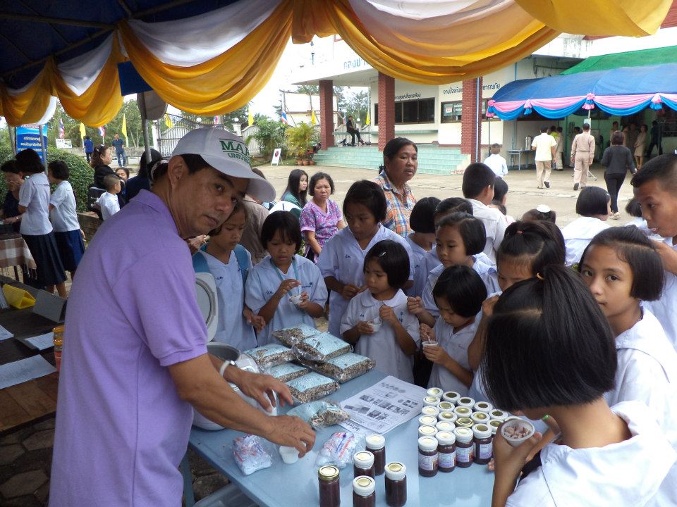 ../Picture/2555/MJUP2012120212371202.jpg