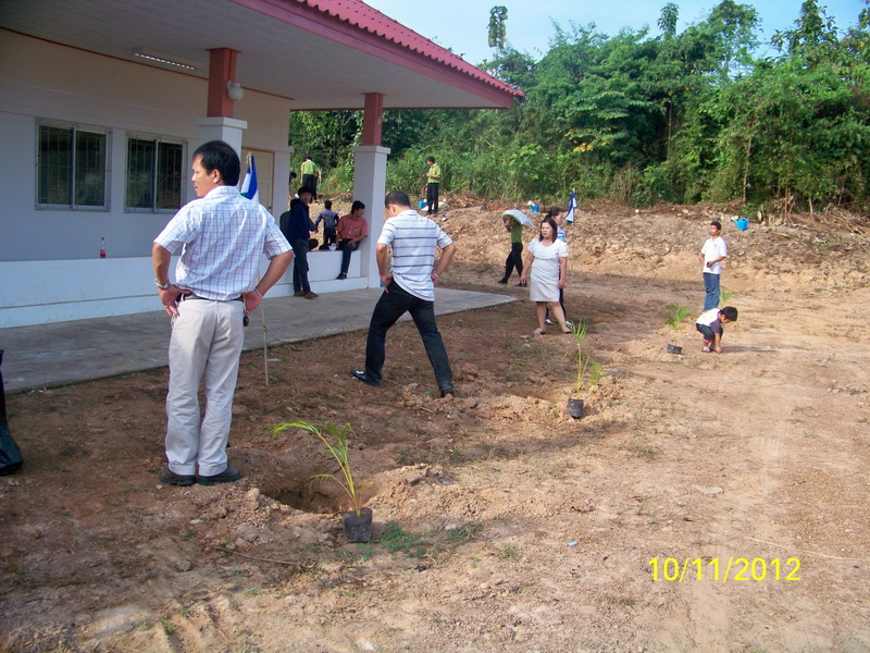 ../Picture/2555/MJUP2012120714423910.JPG