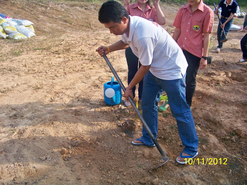 ../Picture/2555/MJUP2012120714430706.JPG